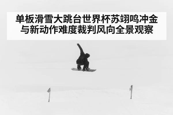 单板滑雪大跳台世界杯苏翊鸣冲金与新动作难度裁判风向全景观察